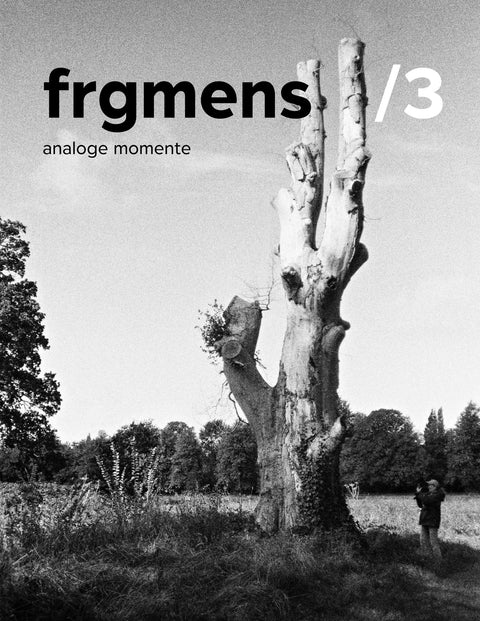 frgmens #03.25