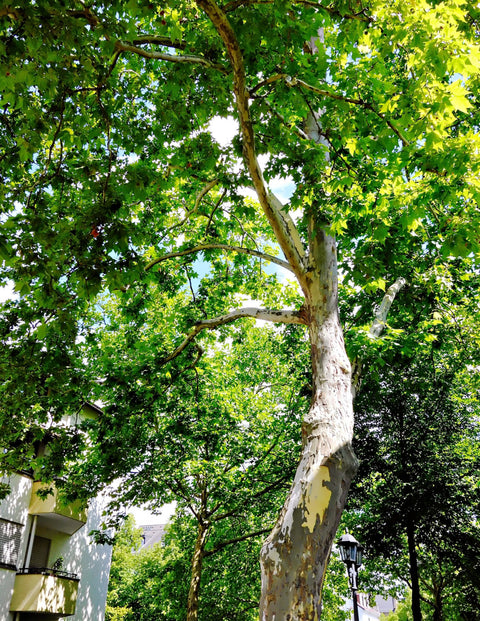 nouvelles numériques #01.26